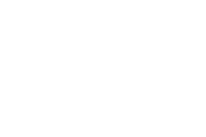 raihan yosa zimly logo (2)
